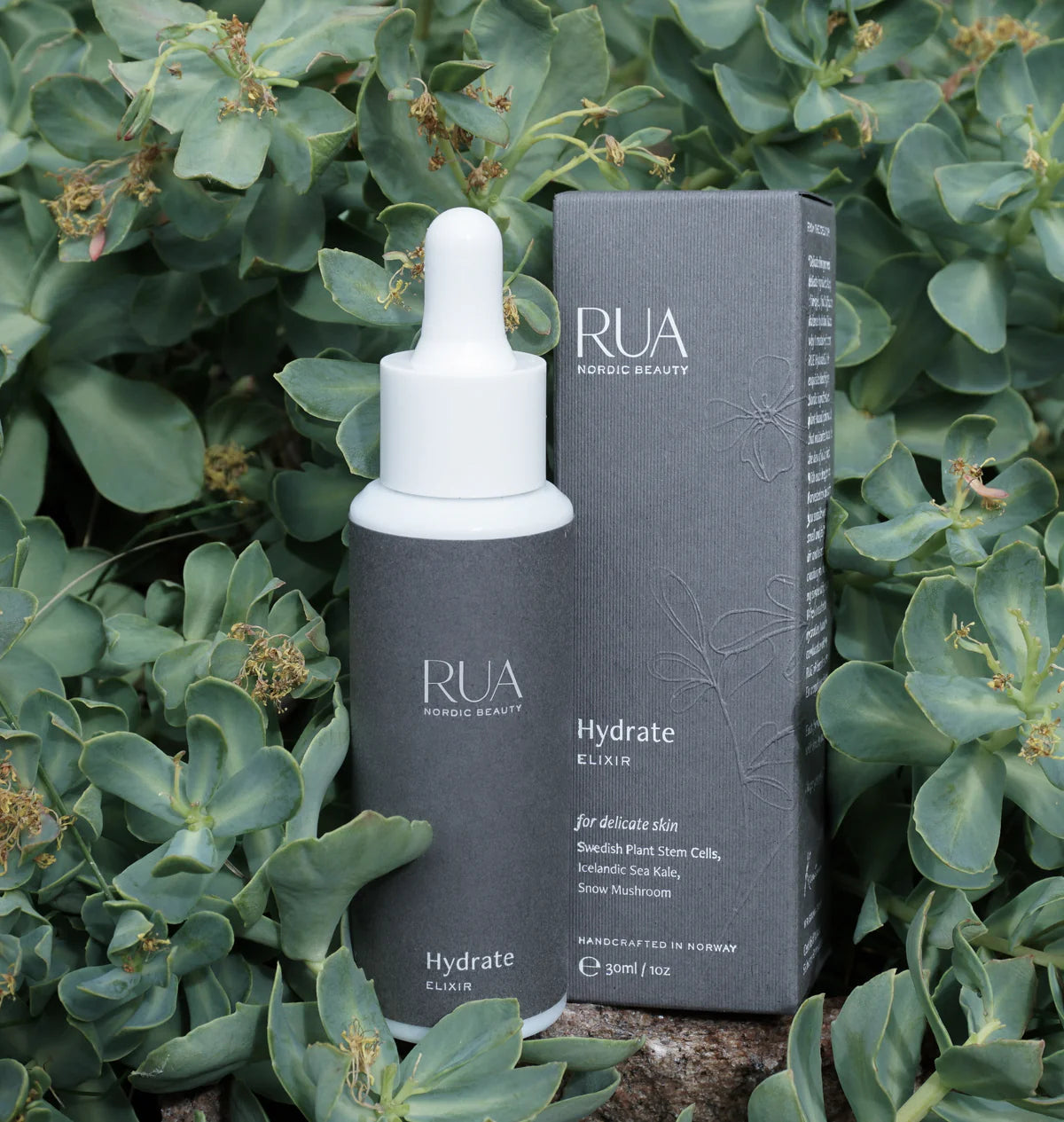 RUA HYDRATE ELIXIR